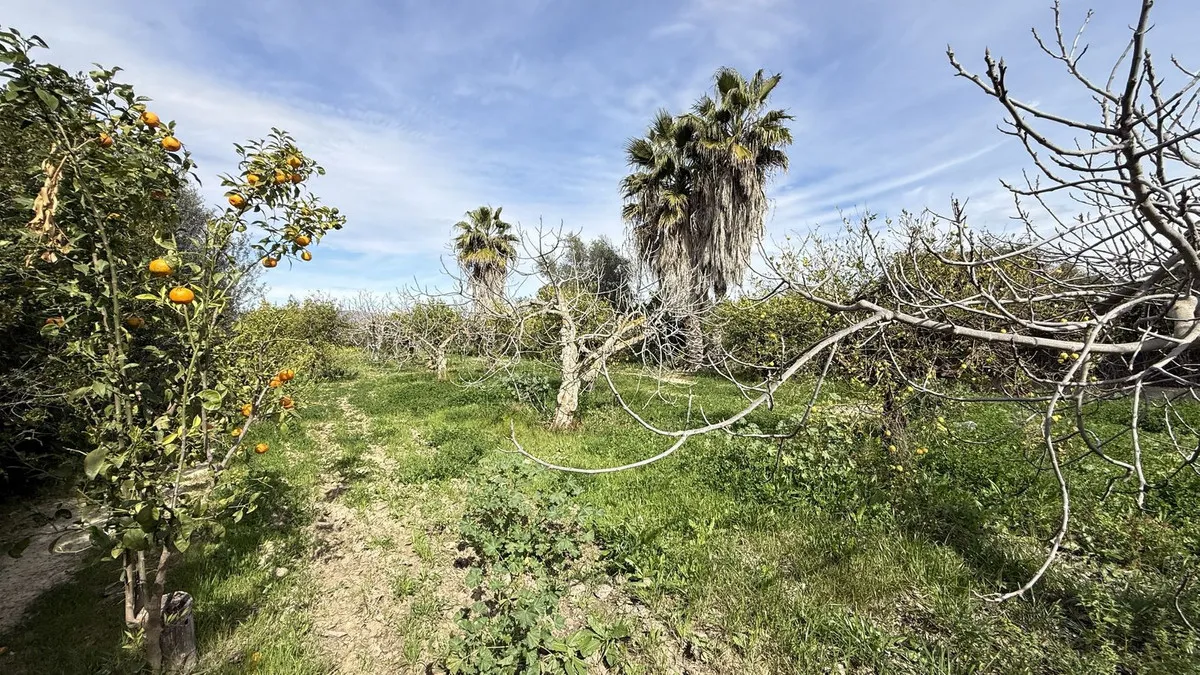 df612872-1b05-401d-ad40-e6f6ef2e1525