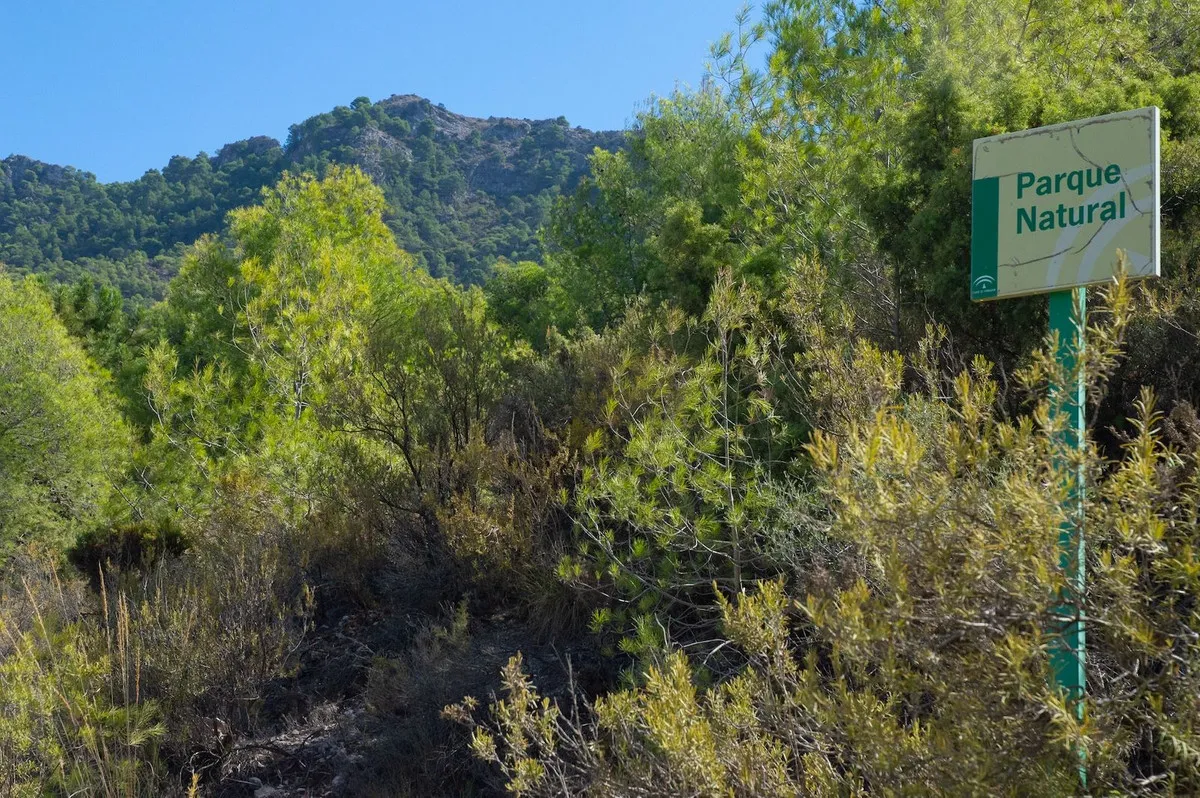 15d5cccd-8731-4505-a7b0-a53843f0c5e0