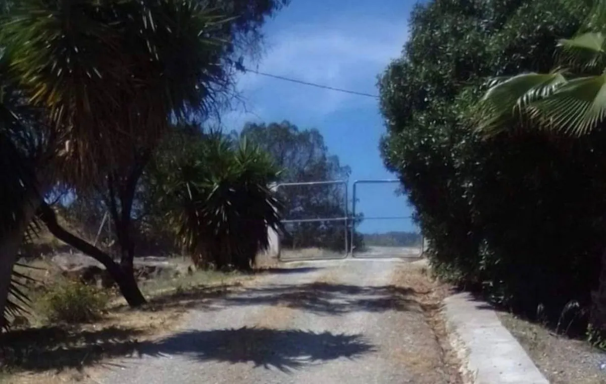 c3f5944e-ec8a-40e6-ab7f-a1d2221fe344