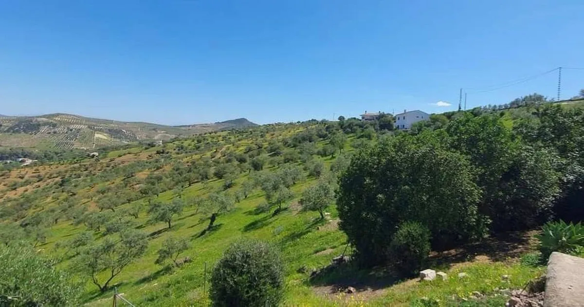 f5a6c456-c930-43d5-bef0-d743509d4b9d