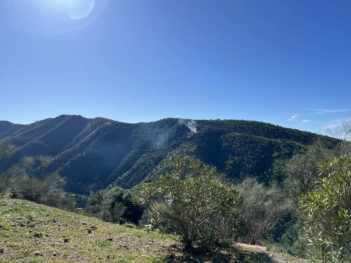 b65a3293-0d79-4ee0-aedf-1411522c73f2