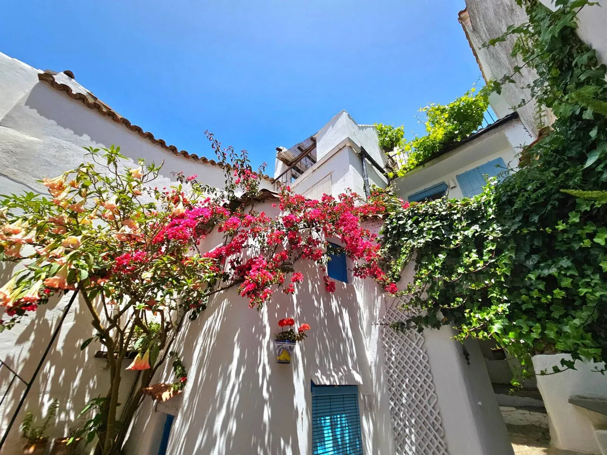 9455929d-9557-4c5c-a33f-41c4ac9b1fda