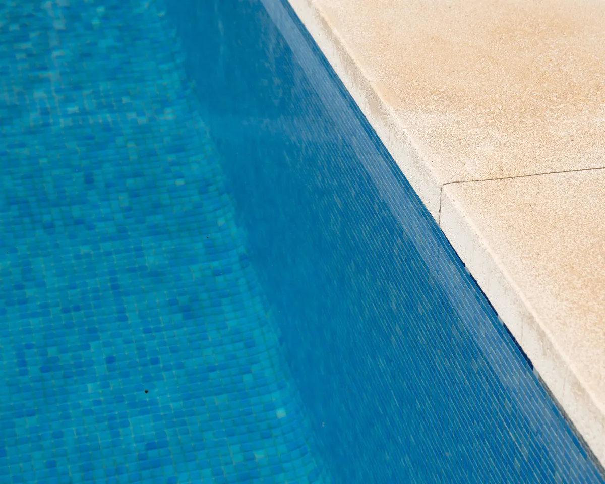 447dc653-60dc-4a72-92f6-3b644cde536a