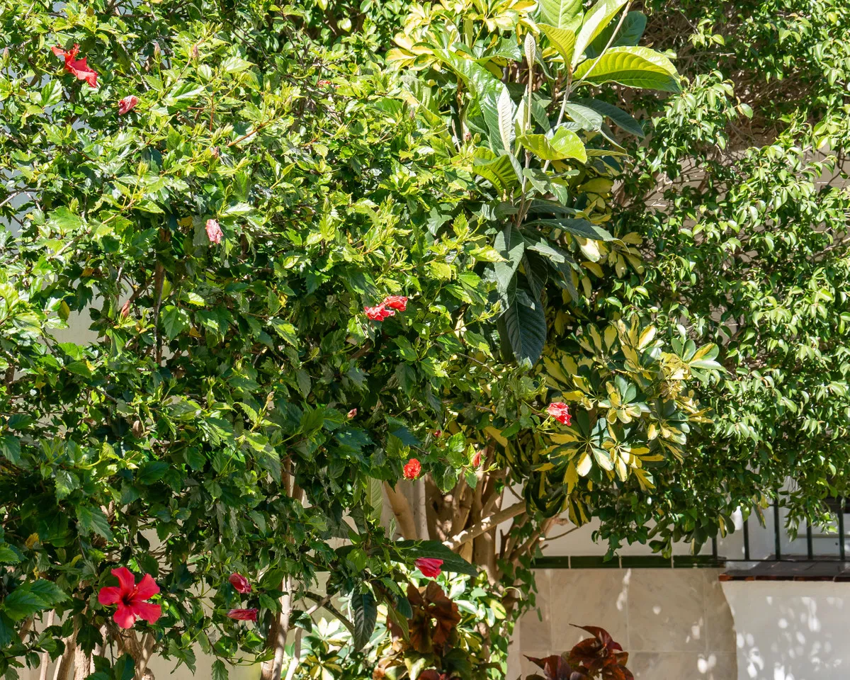 c4e641b0-61e2-463d-bea7-329db379956b