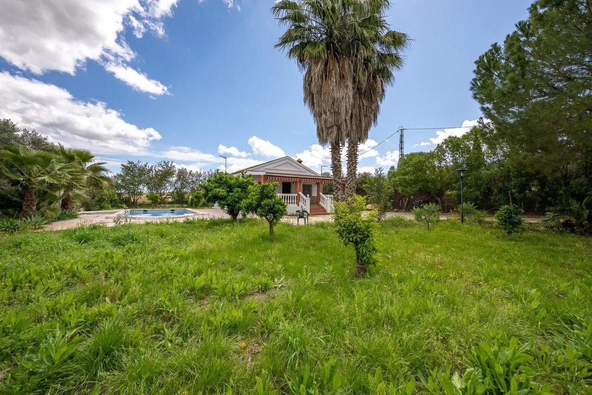 fbedda10-4c8a-49c3-bf3a-0f95645574af