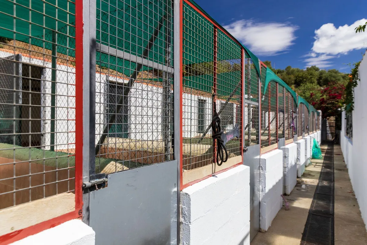 5fa01904-07d8-4110-b5fe-a239e0242a87