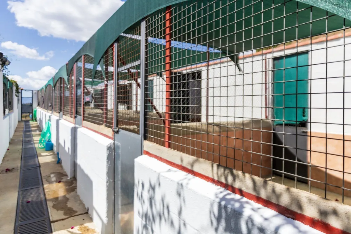 7985c5e8-084a-4126-a7dd-62b223ec63e2