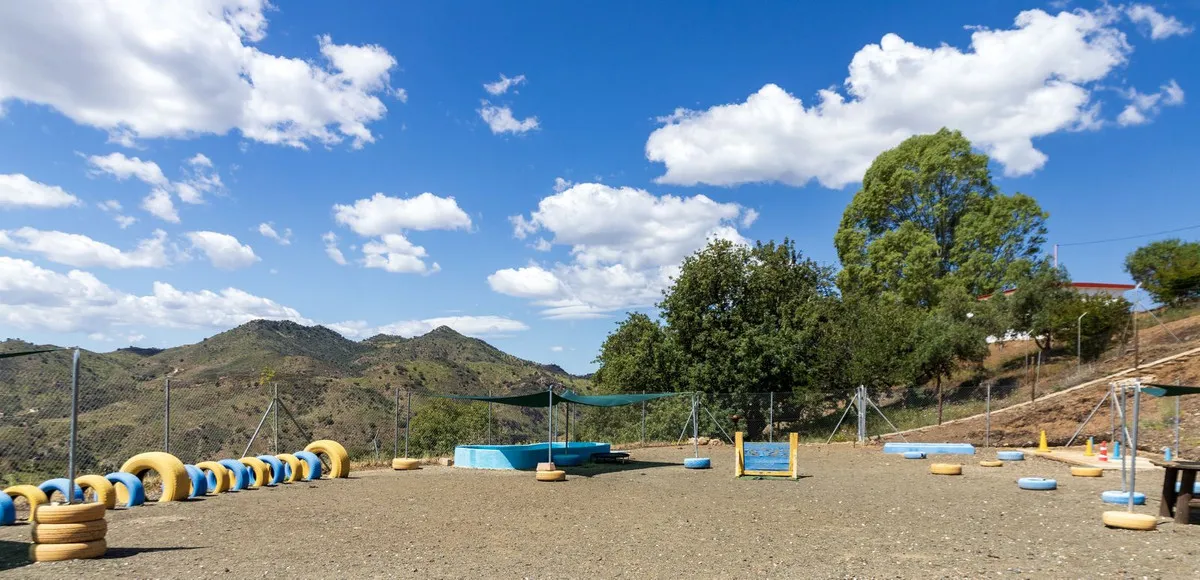 c2cace4b-bb50-439a-b6f3-1eabba222dc2