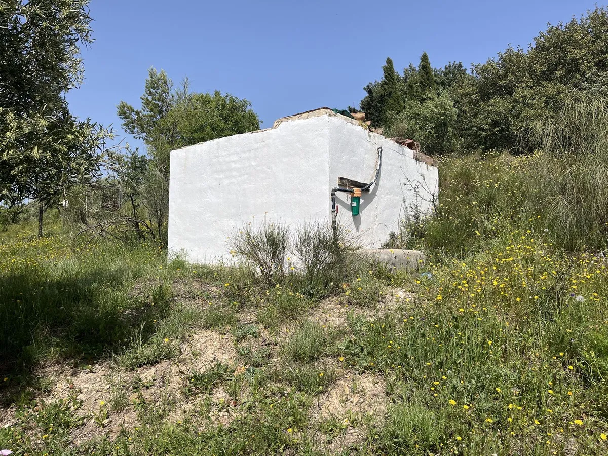 101b9337-3561-4337-bcd6-706f155da3aa