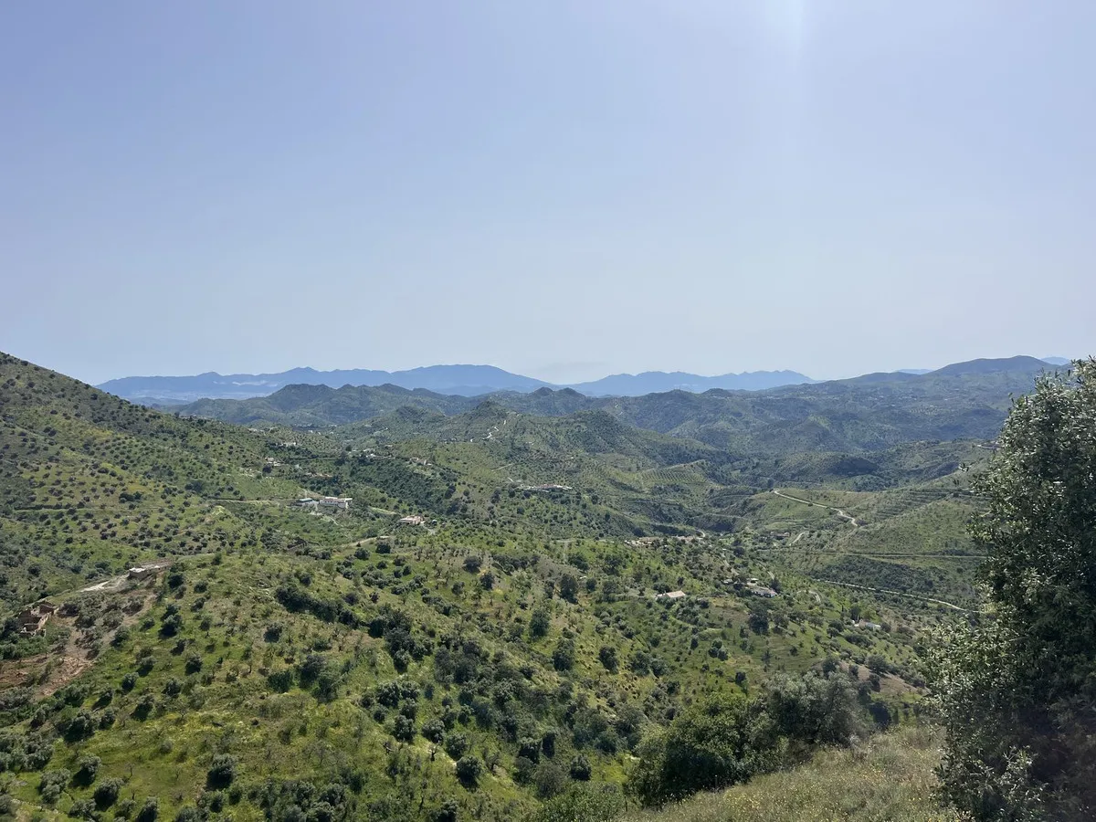 52e1b65a-f6fd-4a32-8435-7b68250a3f8b