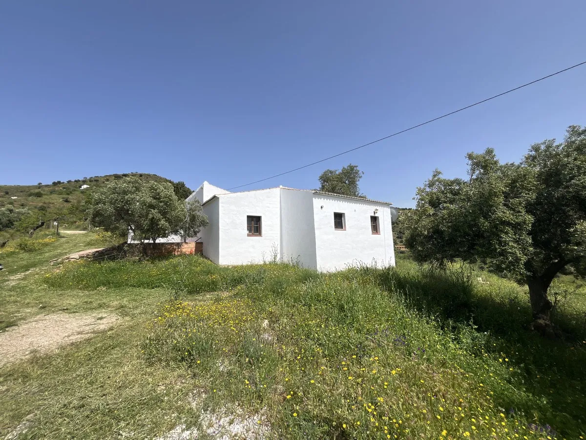 8b8eed24-e2a4-4c96-9527-5c6324eab72c