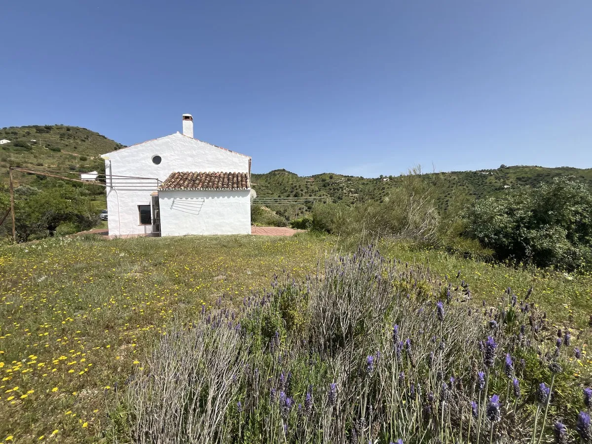 a5004176-8e86-408d-9b07-1babe4098ae3