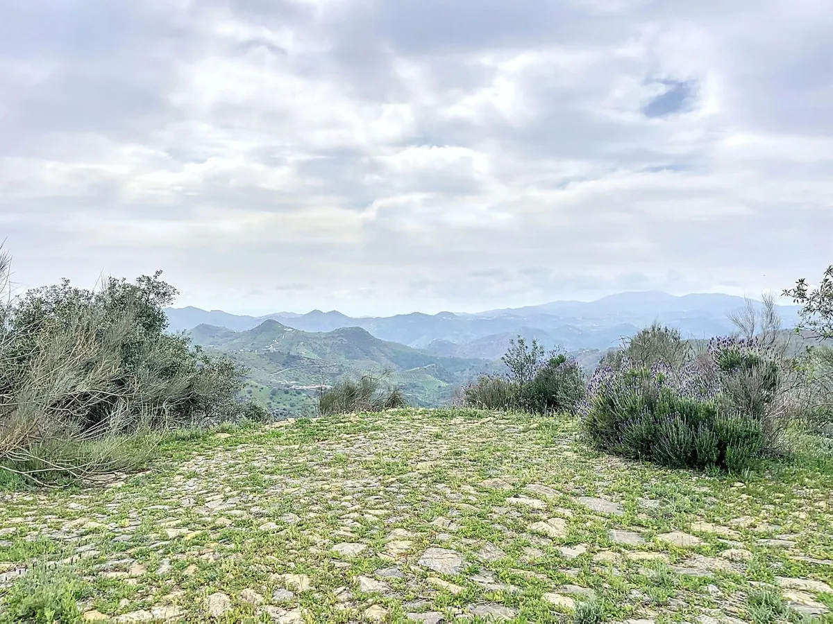 bb642d3d-772c-4f28-9d7f-4e6853170b08