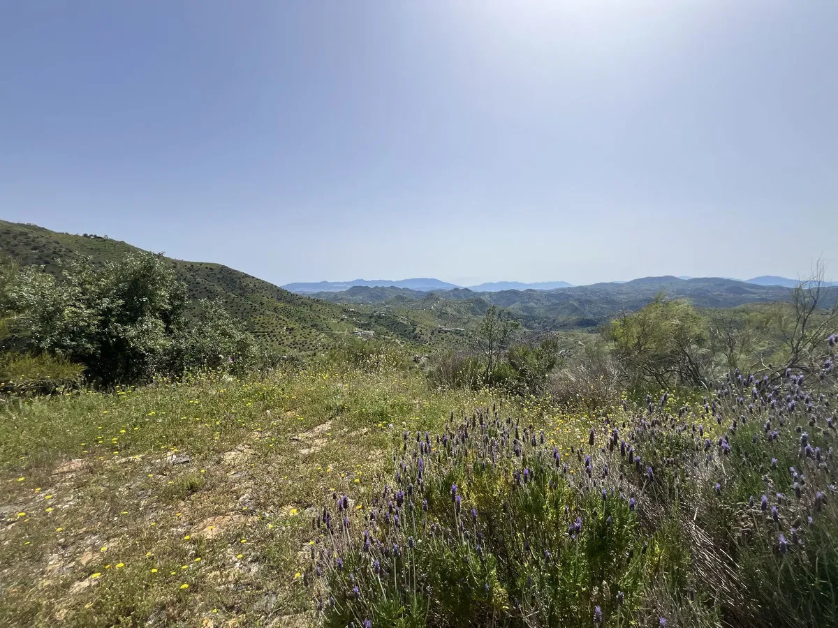 dc321639-6035-4455-8e9e-11c3bea496cd