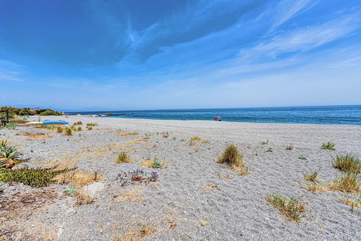 0e99ff27-c894-4e0f-a214-11aa96378edb