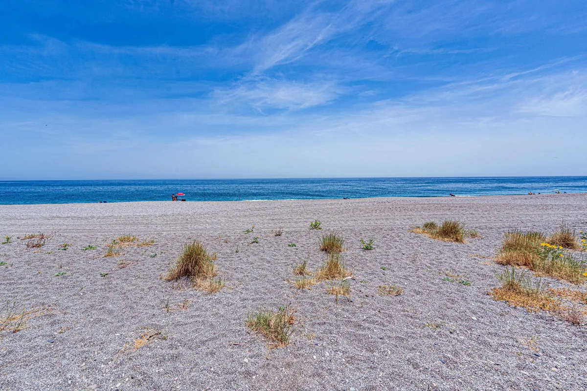 4d6fba38-1865-4a38-9687-6be633016242