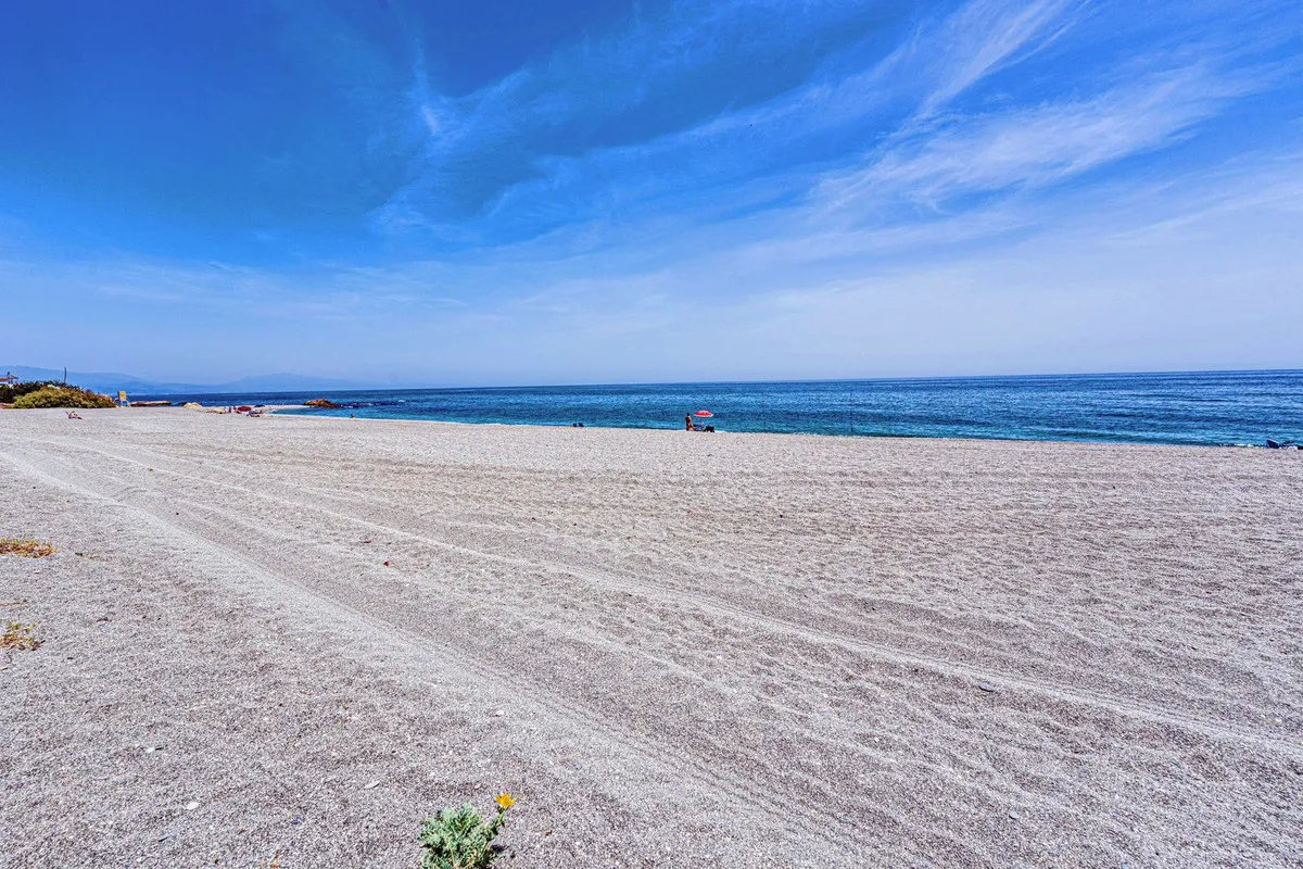 d972d7b5-0cfa-499d-a41a-d06c29c47377