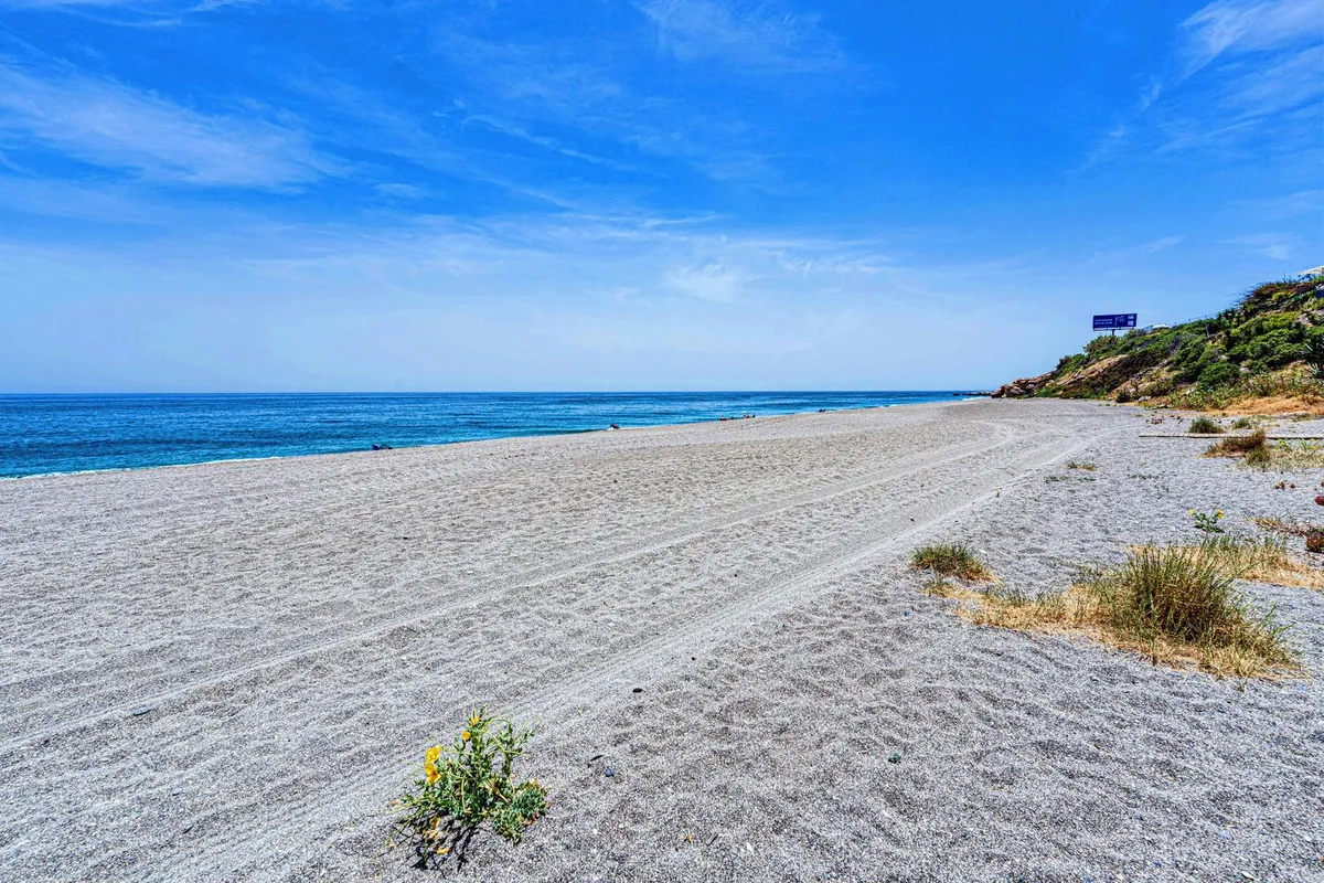 e3e9731a-91fa-4ae1-994f-8a31c923837d