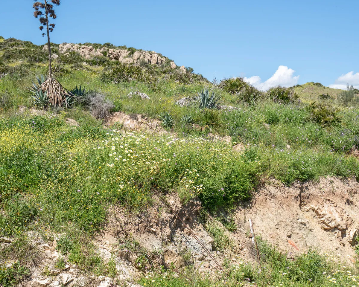 c312ee5b-2307-4a0d-aaf7-0db4392cf391