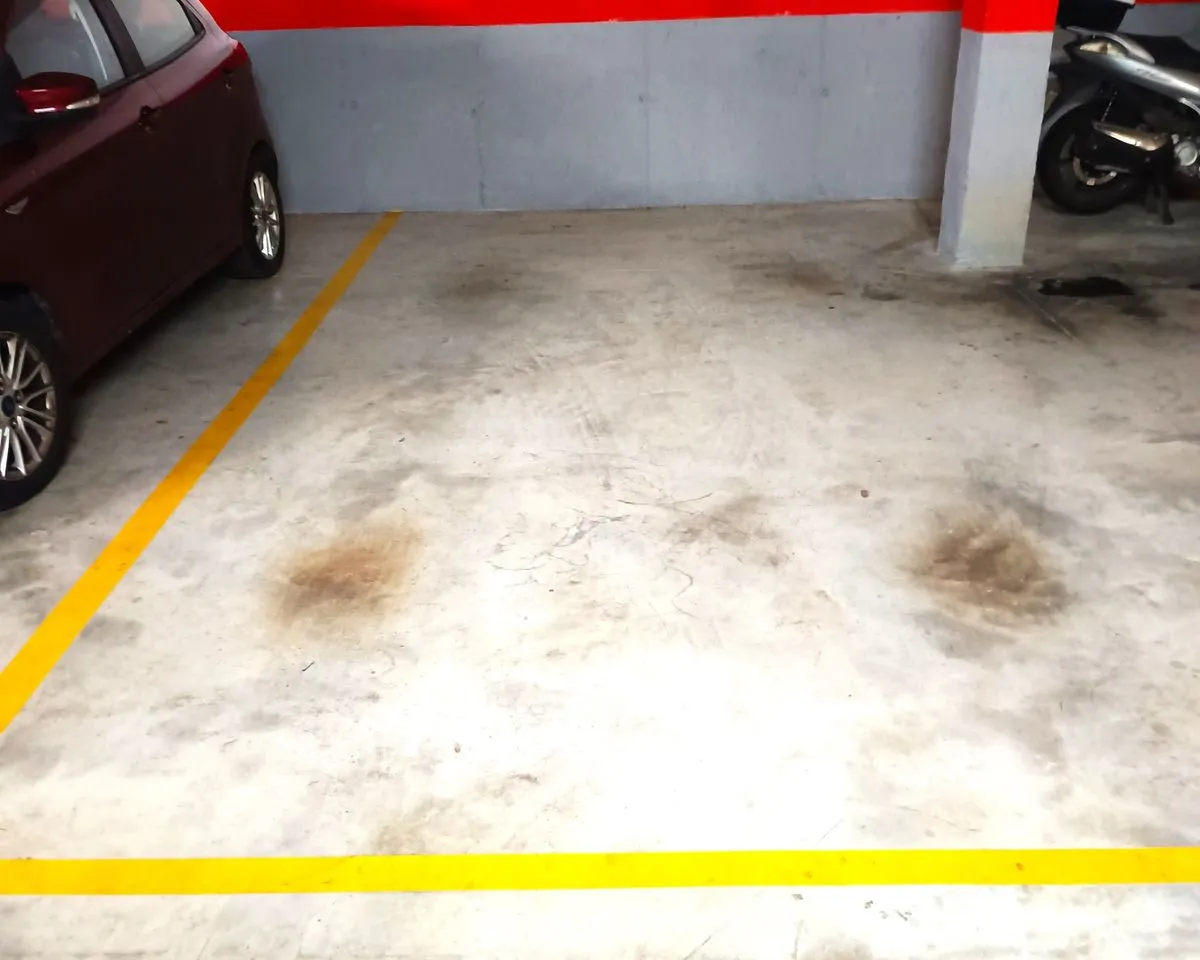 8e8ca09a-1830-45d2-926d-2eb60ecdde98