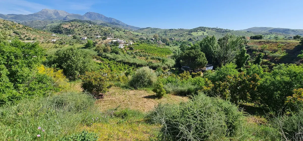 3c200bec-d138-45d1-96cc-c3813e66cd5a