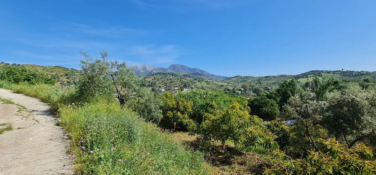 3f036cf5-d304-472b-87e3-bc94bee5ce5d