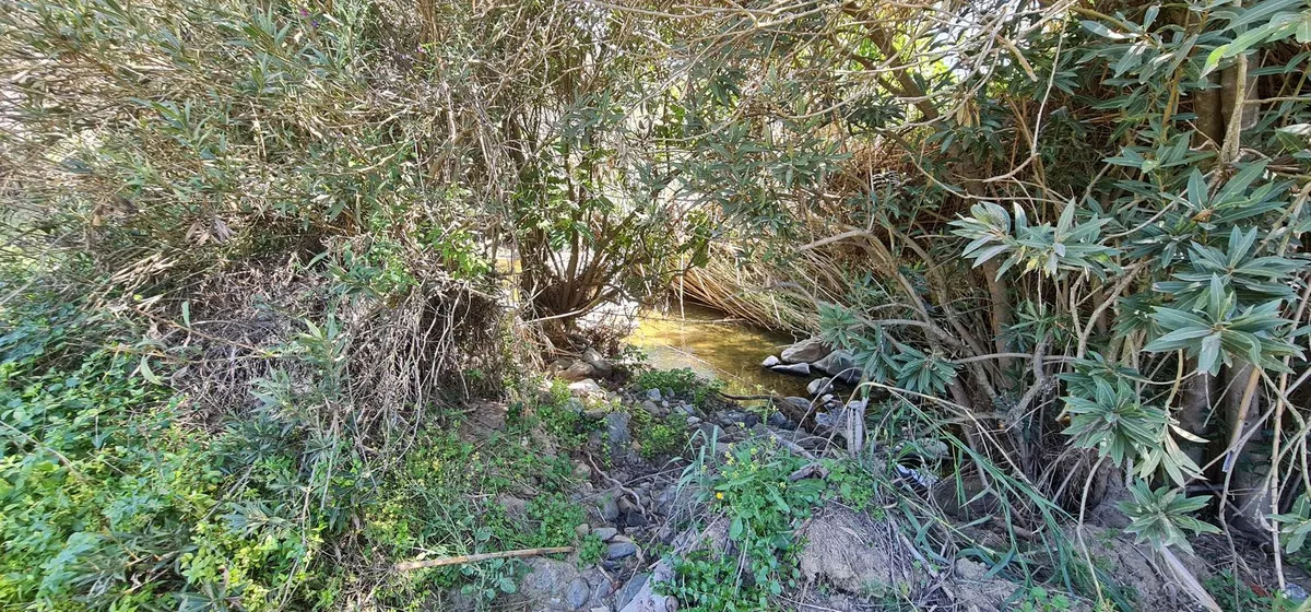 55bcbcc3-f7ac-481d-ac95-1e3f607abfb5