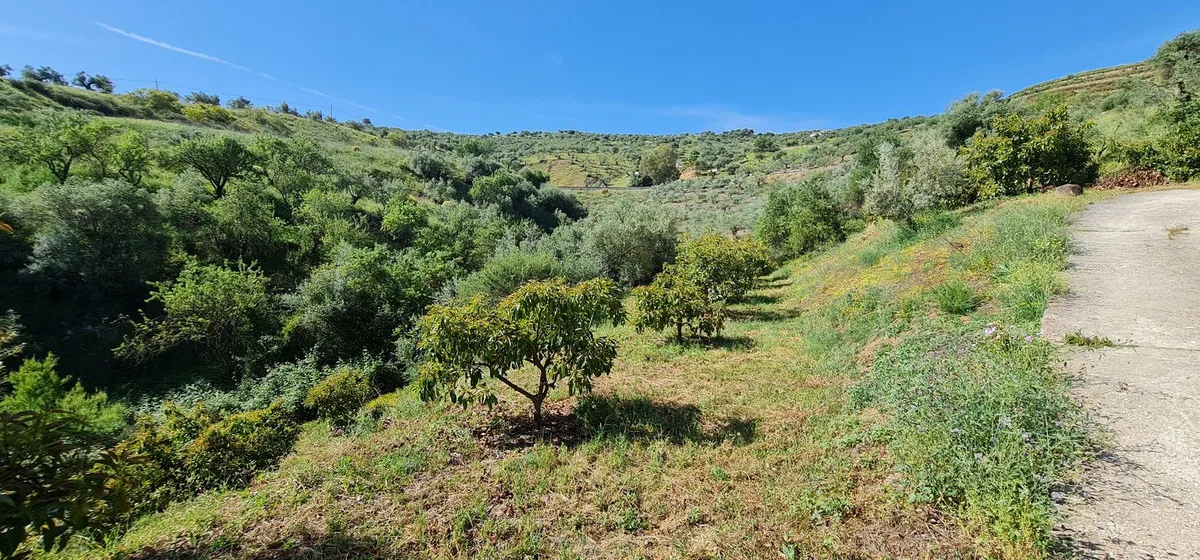 6a9eec49-106c-4a6d-a2e9-87a3e1df72b8