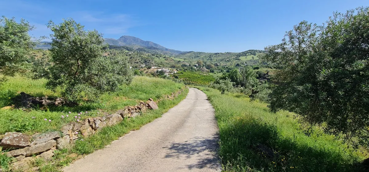 96d985d0-48dd-4306-a84f-9158d1cb982e