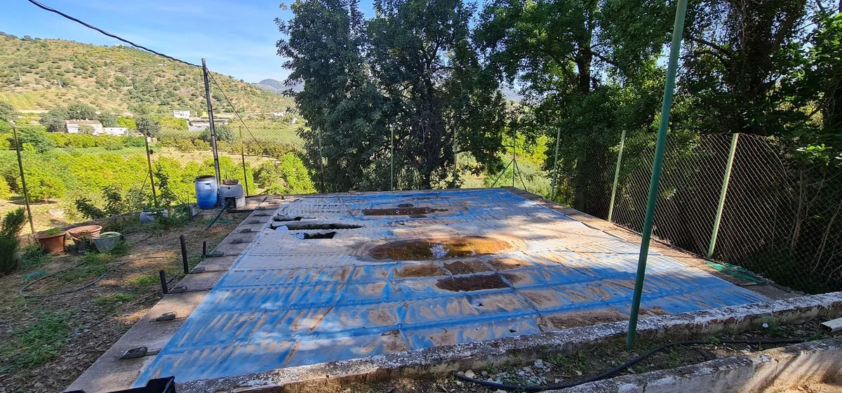 98f47cbf-3080-4e23-b00b-b69bf5011377