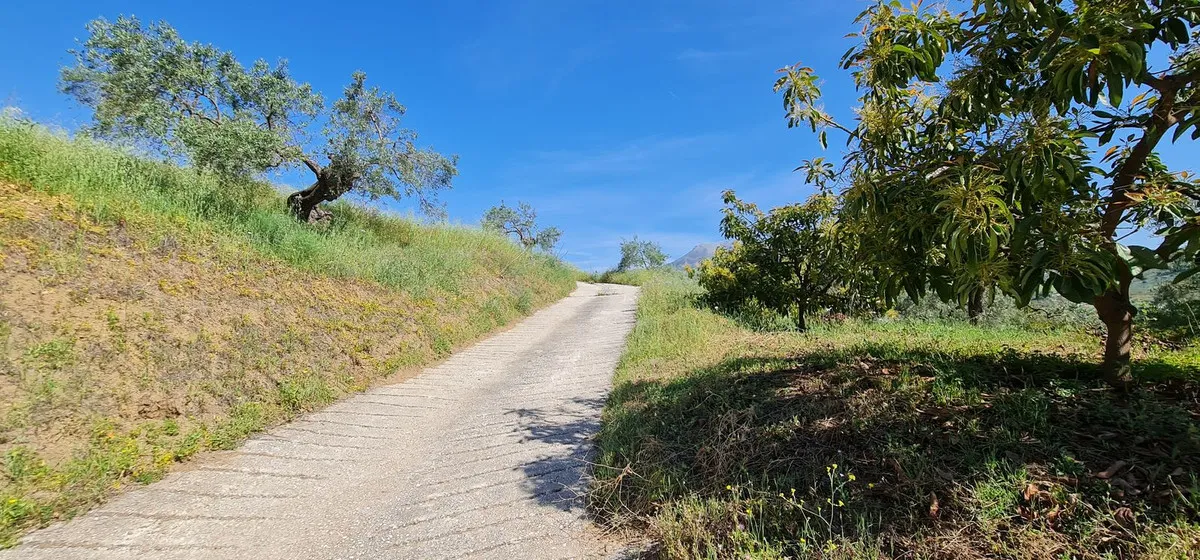 a2f943dd-12b3-4405-82a9-ee70ce26f660