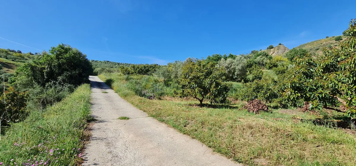 d30a8df0-a356-4748-8536-84eae2e55f80