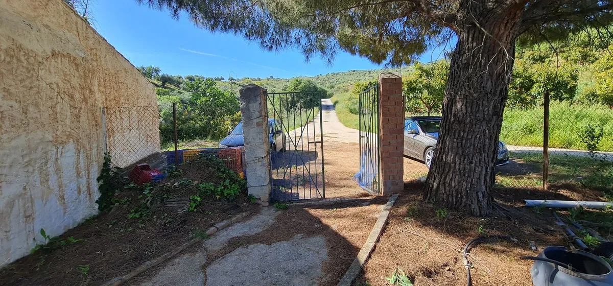 e565ea44-afc0-4e99-bd6c-d1055afc0b28