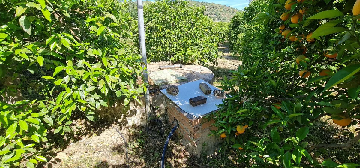 f19ba11d-ad8a-477e-9c27-41df79ea0cc7