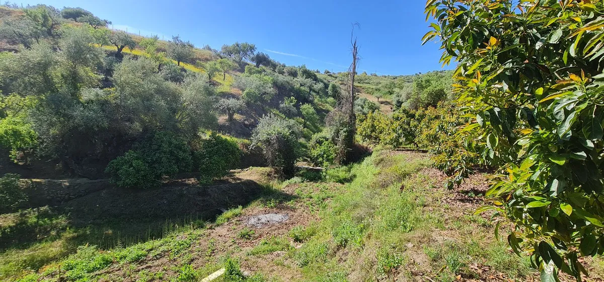 fd40dfe9-c868-4952-980f-6aaf5d36c536