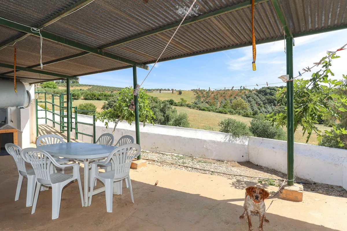 e103412f-8776-4bf9-bb33-30f5a87f1cf8