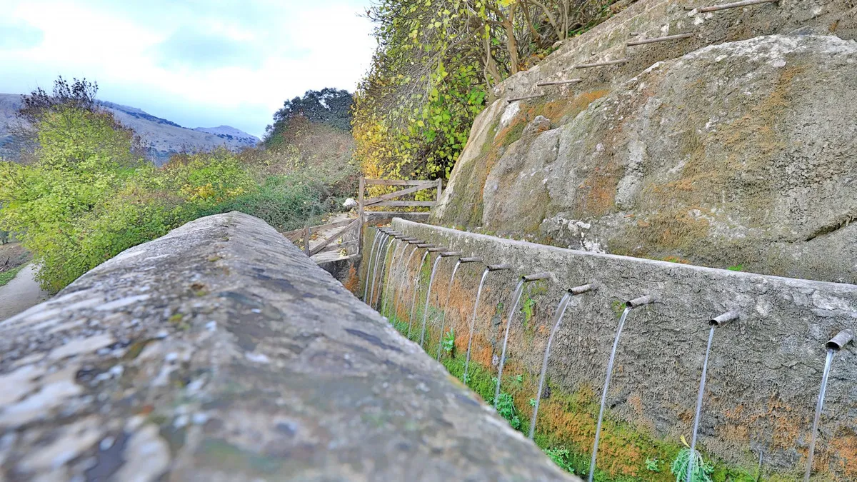 0e6831ca-7eec-4c50-8061-43de4f8262fb