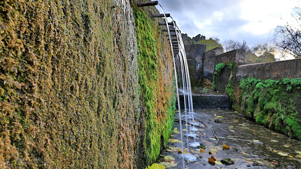 396259a6-3450-4e8a-aa4c-d916d867d9bc