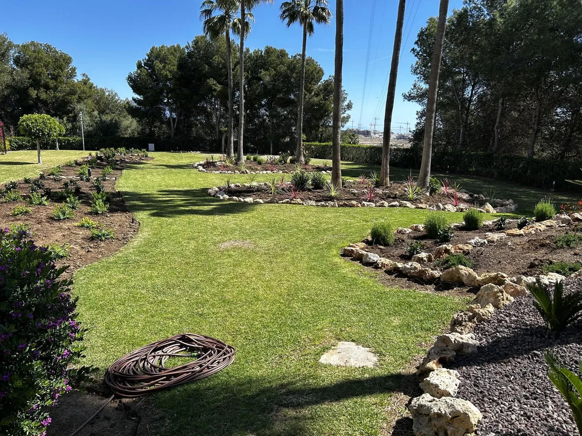 cb6ab0a1-dda1-4980-b562-afd9fa10525b