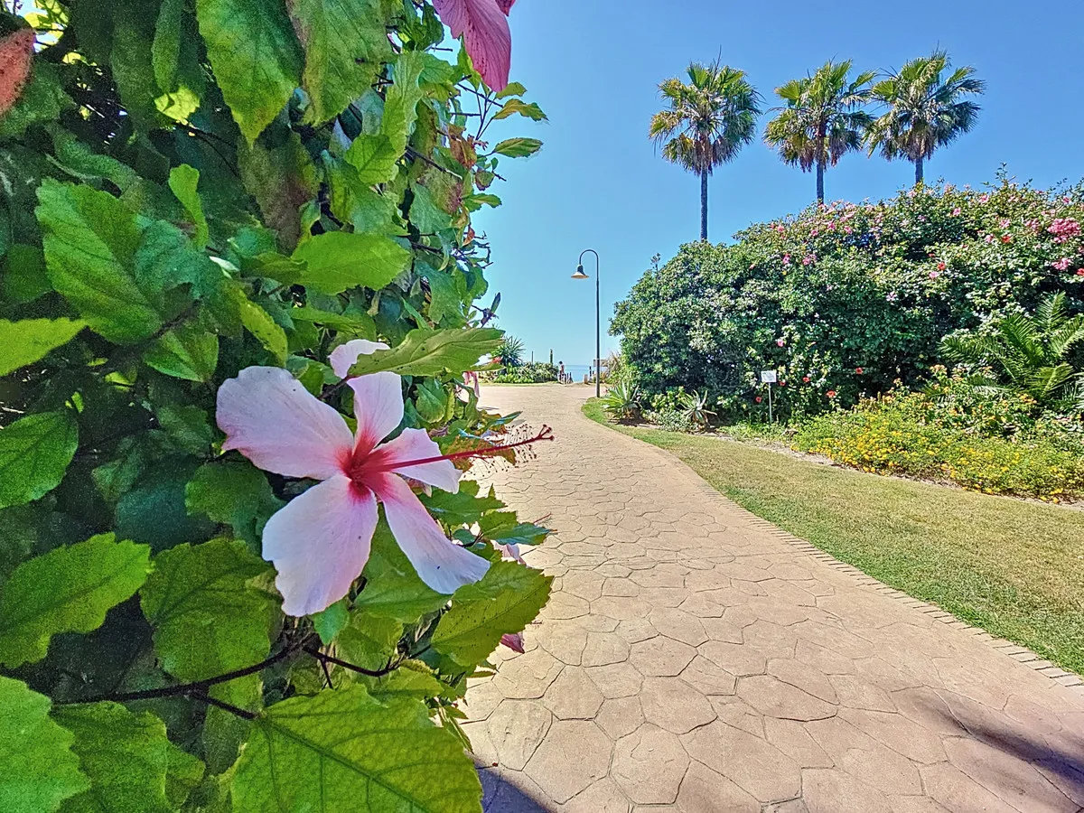 21600423-d2d3-4eec-b82c-b80811f74388