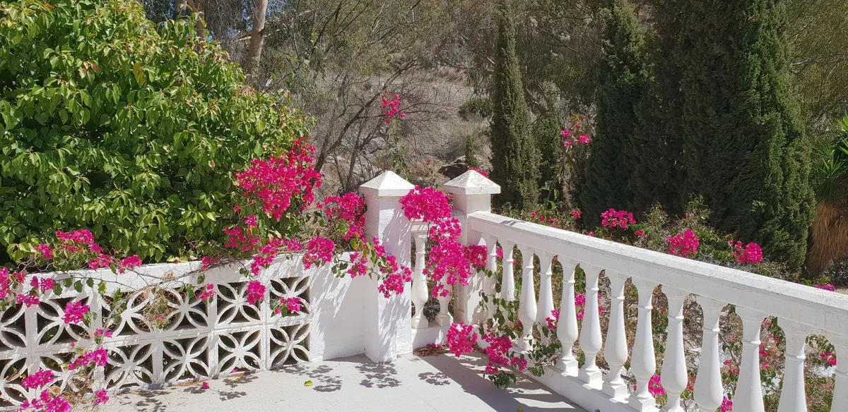 49ee2c14-19a0-40fc-a772-408cd28c52f1