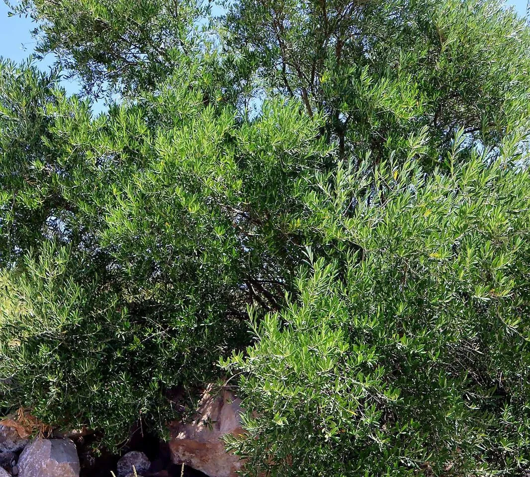 284dce3b-5727-4eda-bd2a-d6120b3ca29d