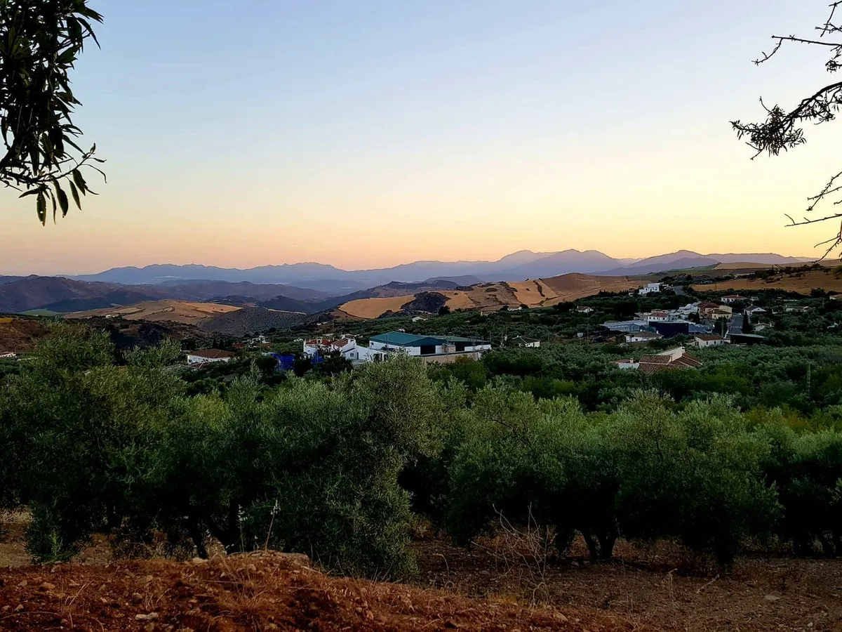 2ceaa3b2-d6e2-4db9-8858-f036d640d71c