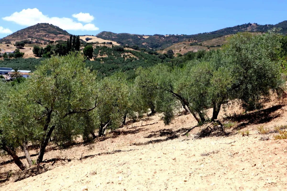 3247f23a-ebb8-41bc-a0ef-094a2633ca0c