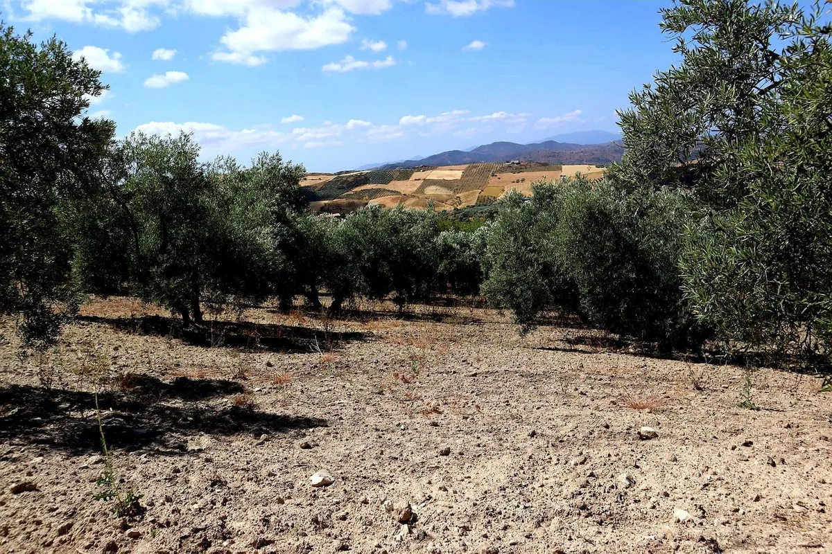 9c29ccb2-b97a-408a-a509-d8943f56ed48