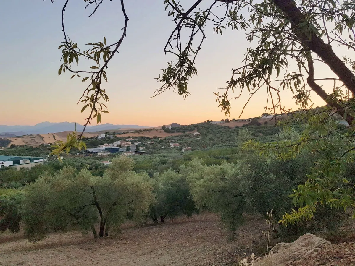 be903a8d-d1ed-446c-9002-0609d6d426df