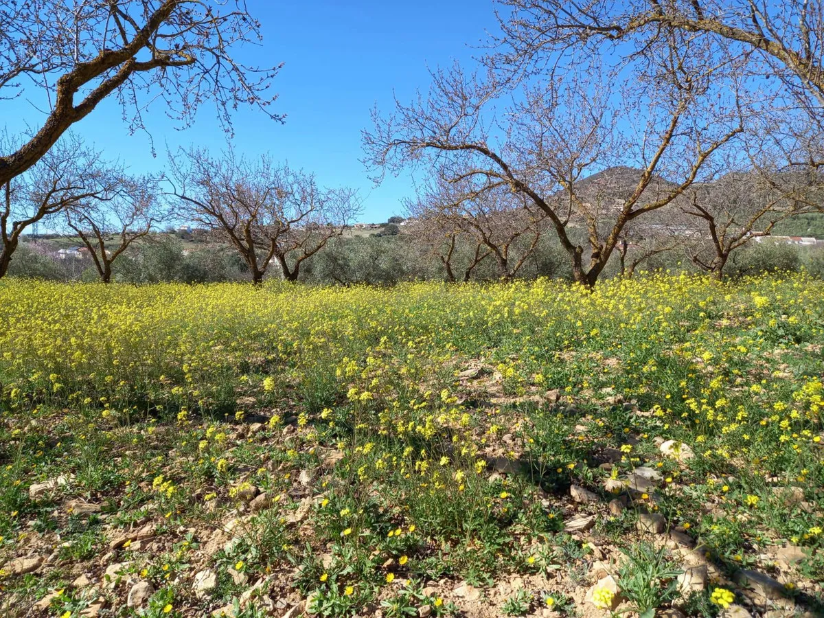 e0499d78-6650-46b7-83a5-33f862cdebb0