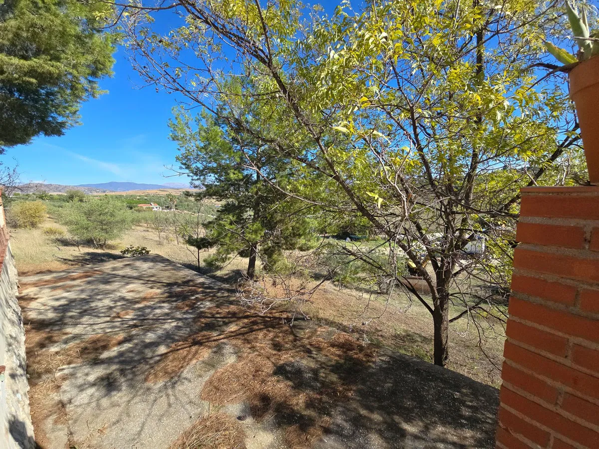 c14815db-4566-401c-9590-a16109316974