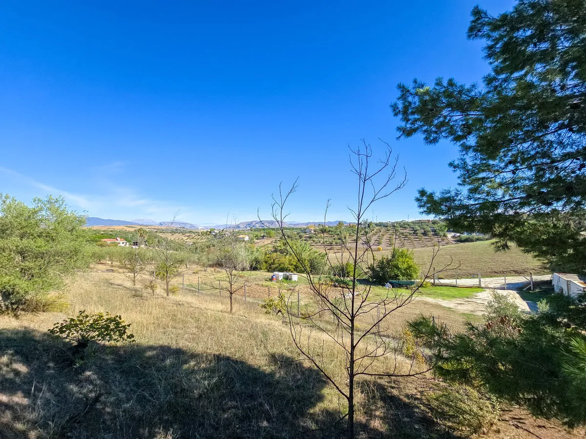 fb9835bf-3581-4ca4-95af-586141948973