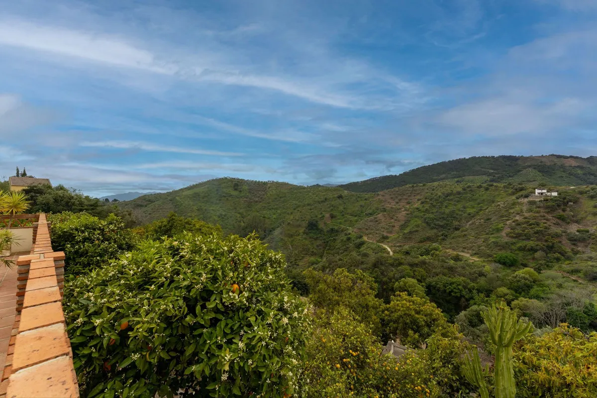 c8363514-6a99-4ca6-a317-f860ccf03fa0